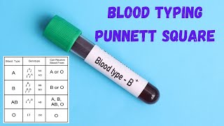 How to Predict Genetic Traits Punnett Squares Demystified [upl. by Siuol]