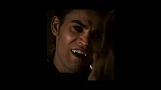 Stefan the Ripper Salvatore  Kill Bill by SZA [upl. by Mukerji]