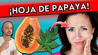 9 ENFERMEDADES que se CURAN con HOJA DE PAPAYA  ¿CÓMO PREPARAR [upl. by Argus]