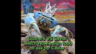 Gushers VS Caviar Watch Howie sign ASL food to ask for caviar [upl. by Michiko276]