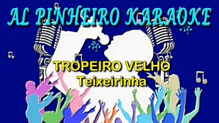 Tropeiro velho  Teixeirinha karaoke [upl. by Haughay294]