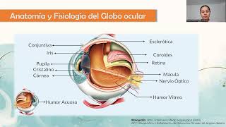 TECNICA QUIRURGICA DE TRABECULECTOMIA [upl. by Meeks]