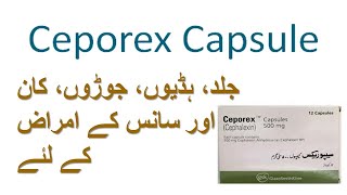 ceporex capsule 500mg uses  ceporex  cephalexin [upl. by Duvall180]