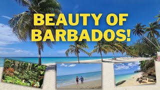 Barbados  Best Beaches and Places to Visit [upl. by Natiha822]