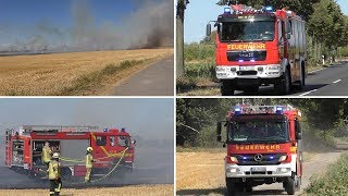 Einsatzfahrten der Feuerwehr Geilenkirchen zu Feldbrand  Brandausbreitung [upl. by Lovett]