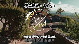 学会忘记  李鑫ya｜卡拉OK歌词版｜最新单曲 卡拉OK版2022年最新推荐歌曲｜卡拉OK歌词版｜动态歌词｜歌词版｜男版 [upl. by Egide]