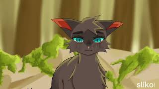 ✨SPARK✨ Warriors Sparkpelt amp Larksong storyboard MAP  part 16 [upl. by Anoid]