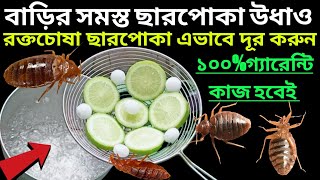 ছারপোকা তাড়ানোর উপায়।৫মিনিটে শেষ। Home remedies to get rid of cockroachesCharpoka taranor upay [upl. by Bunnie]