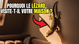 Signification spirituelle du lézard dans votre maison [upl. by Akenor762]