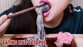 ASMR LIVE octopus challenge exotic food eating sound part 2LINHASMR [upl. by Ethban]