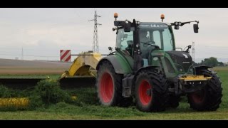 Luzerne  Andainage ROC RT 1000  Fendt 514 Vario [upl. by Aihsemaj]