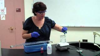 How to Perform an Endospore Stain [upl. by Owain]