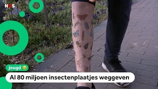 Meer respect voor insecten door supermarktplaatjes [upl. by Einal]