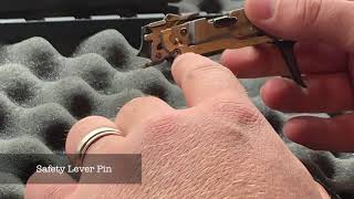 P320 SHORTCUTS SEAR SPRING REMOVAL SIMPLIFIED METHOD [upl. by Enyahs475]