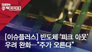 이슈플러스 반도체 ‘피크 아웃’ 우려 완화…“주가 오른다” [upl. by Mirna13]