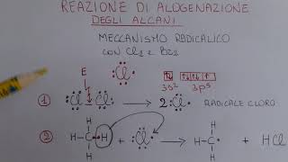 Alogenazione degli alcani [upl. by Yauqaj]