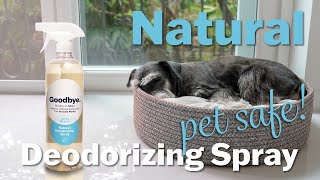 Deodorizer Spray thats 100 Natural Pet Friendly Solution shorts [upl. by Anitra]