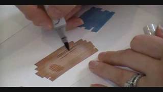 Copic Colorless Blender Tips amp Tricks [upl. by Demmer336]