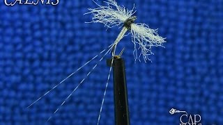 Caenis  Fly Tying with GZingaro [upl. by Gobert]