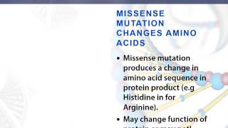 Missense mutation [upl. by Amol]