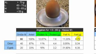 Protein und Fettgehalt beim Ei  Eiweißanteil im Hühnerei  Eiweiß und Eiklar [upl. by Hanni]