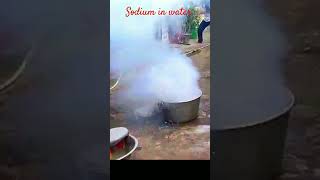 Sodium reaction in water 😮 shorts😧😖 [upl. by Sergent581]