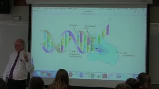 17 Aherns BB 350 at Oregon State University  DNA Replication II [upl. by Nanfa595]