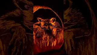 mnzoo jackolantern spectacular halloween pumkins minnesota trickortreating fall [upl. by Herrington]