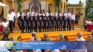 Die Regensburger Domspatzen singen ein quotVolksliederMedleyquot  quotImmer wieder sonntagsquot am 22072019 [upl. by Adrahc]