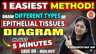 1 Easiest Method Draw Different types of Epithelial Tissues Diagram in 5 Minutes ⏰ CBSE 9 Biology [upl. by Alver]