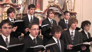 Knabenkantorei Luzern  Schütz Deutsches Magnificat [upl. by Eelitan]