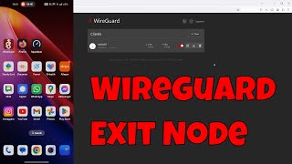 How to Set Up a WireGuard Exit Node with WireGuard Easy GUI StepbyStep Guide [upl. by Ellatsyrc]