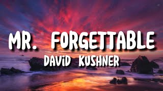 David Kushner  Mr forgettable lyrics [upl. by Pudens540]