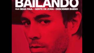 Enrique Iglesias  BailandoGregor Salto Remix [upl. by Karolina]