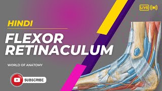 Flexor Retinaculum of Ankle  Lower Limb in Hindi anatomy education neet World of Anatomy [upl. by Rothberg]