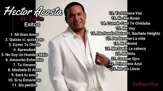 El Torito Bachata mix Hector acosta [upl. by Lanita947]