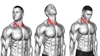 Effective Stretching Exercises for Neck Pain Relief [upl. by Ninazan]