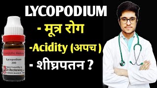 Lycopodium Clavatum 200 Homoeopathic medicine uses in Hindi [upl. by Anson]