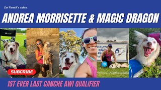 Andrea Morrisette and Magic Dragon  Ashley Whippet Invitational Freestyle [upl. by Atolrac338]