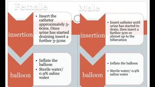 Bladder Catheterization procedure Malefemale catheter types position prevention from infection [upl. by Ebanreb295]