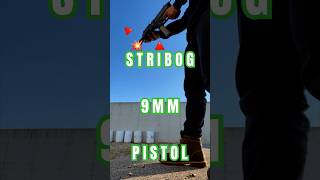 9mm Stribog pistol [upl. by Carver]