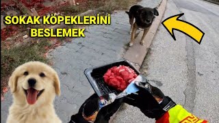 MOTORCULAR KÖTÜ İNSAN MI 1 [upl. by Geller]