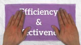 Efficiency amp Effectiveness 3 Levels of Managers [upl. by Bobker]