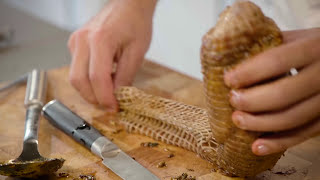 Kruidige varkensrollade met honing amp friszoete rodekool  Jumbo [upl. by Ertha]