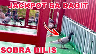 EP613  DAGIT BIGLANG PUMASOK NG TRAPDOOR HULI SYA [upl. by Notsa]