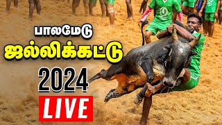 🔴Palamedu Jallikattu 2024 live முடிஞ்சா புடி முடிஞ்சா புடி  பாலமேடு ஜல்லிக்கட்டு 2024  Vikatan [upl. by Woolley]