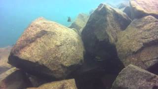 Ndole bay Lodge Scuba Diving 604x360 [upl. by Olrac]