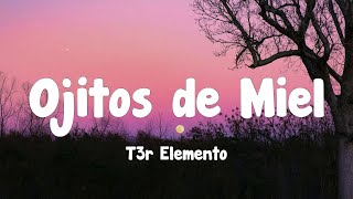 T3r Elemento  Ojitos de Miel Letra [upl. by Greggs497]