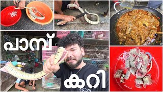 അപ്പൊ നമ്മുടെ അടുത്ത പരുപാടി പാമ്പ് കറി  Snake Curry  🐍😋😱  Vietnam 🇻🇳  Basheer Bashi [upl. by Terchie]