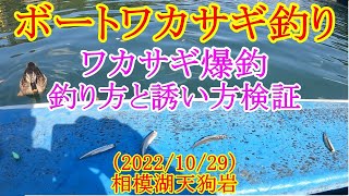 【相模湖でワカサギ釣り】ボートワカサギの釣り方と誘い方を検証 [upl. by Aiem831]